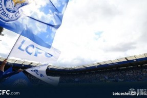 kaiyun电竞-包含莱斯特城备战关键之战，争夺欧战资格的词条